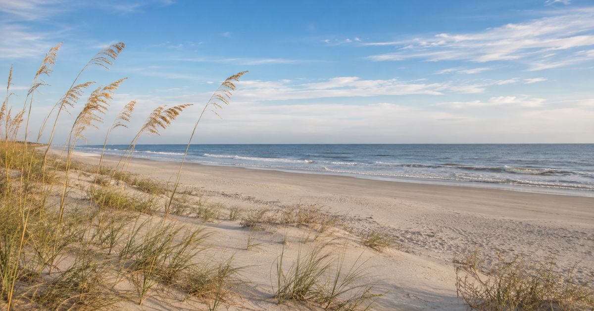 A wide Lowcountry beach with gentle waves and sea oats on the dunes near Charleston