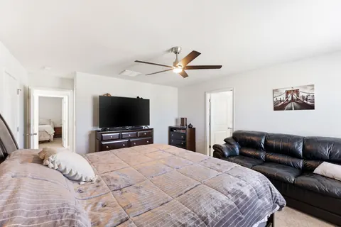 Primary bedroom TV wall and ceiling fan