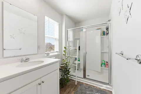 Primary bath walk-in shower