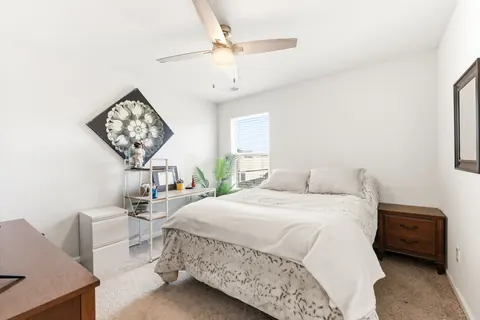 Third bedroom with a ceiling fan, window, and carpet